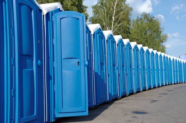 Best Luxury portable toilet rental  in Eaton Rapids, MI
